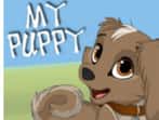 My Puppy