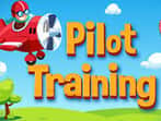 Pilot Training