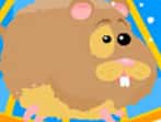 Run Run Hamster