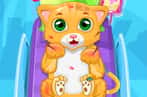 Little cat doctor