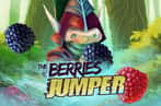 Berries Jumper
