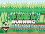 Panda Running