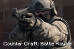 Counter Craft: Battle Royale