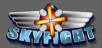 Sky Fight
