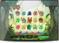 Betwest casino